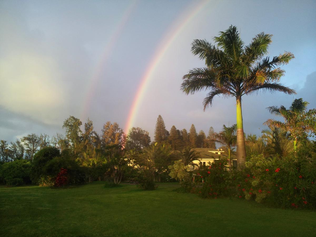 Hawaii Island Retreat At Ahu Pohaku Ho'Omaluhia Kapaau Exterior foto